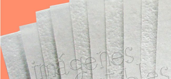 Promoción en paquete de 100 hojas de arroz Promoción en paquete de 100 hojas de arroz